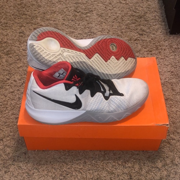 Kyrie flytrap - Picture 4 of 4